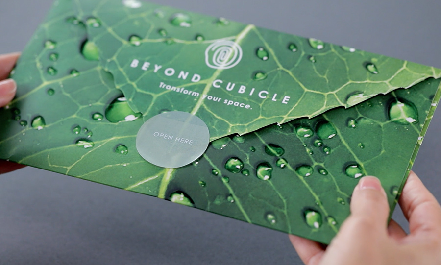 Die-cut mailer with 3D box 2