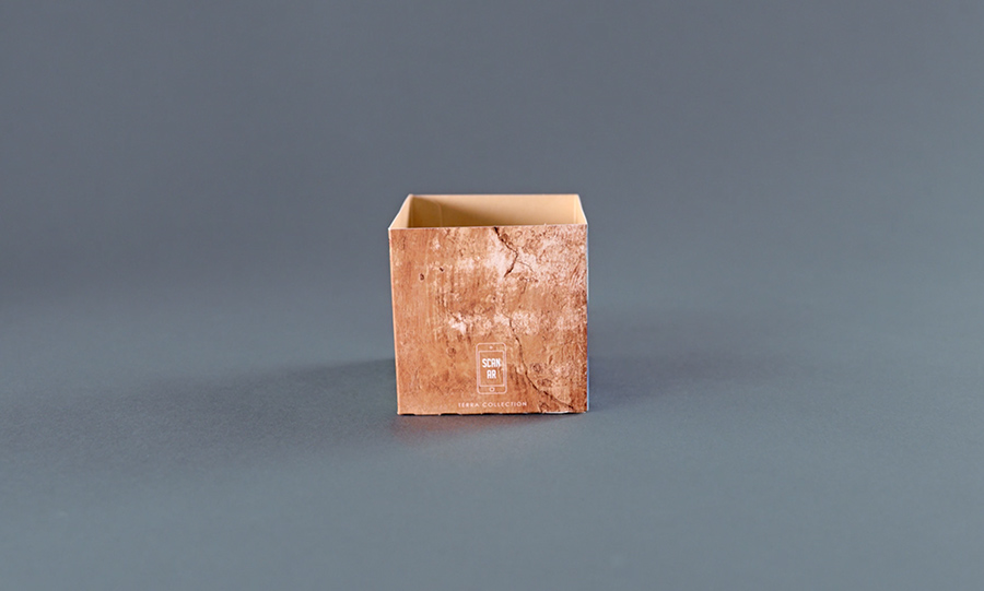 Die-cut mailer with 3D box 4